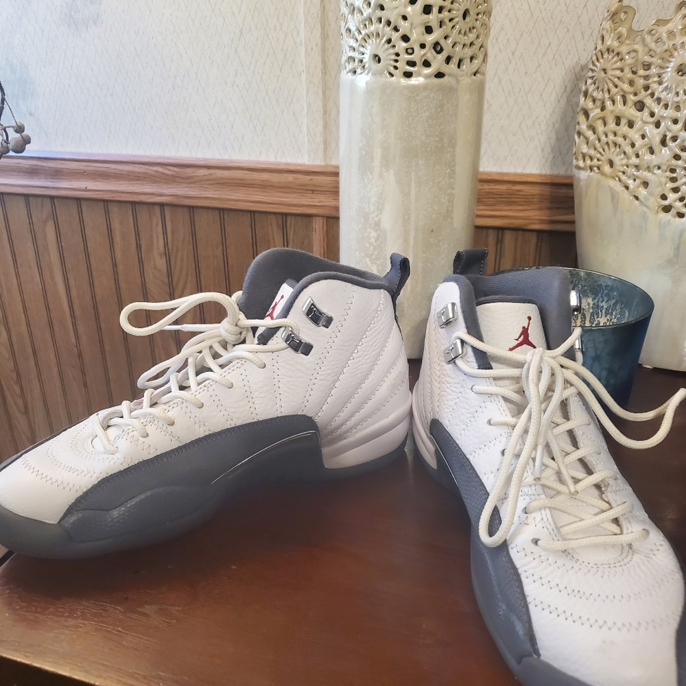 Nike Air Jordan's Retro 12